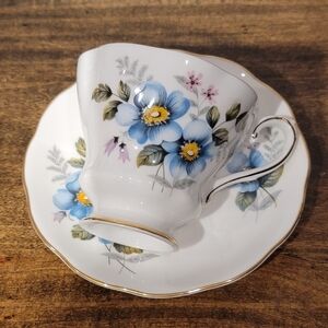 Royal Grafton Teacup And Saucer Blue Floral